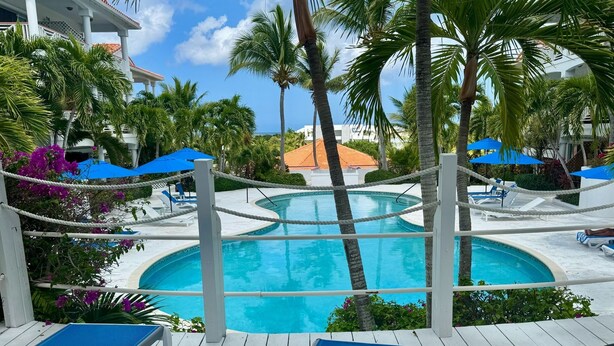 A pool area with lounge chairs and palm trees.
