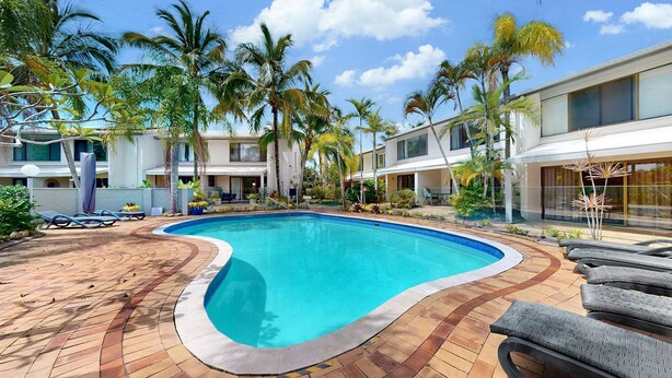 Ein Pool mit gewölbter Kante, umgeben von Palmen und einer Pflasterterrasse.