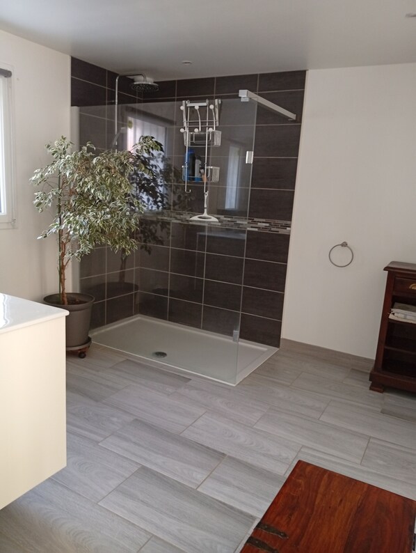 Un baño moderno con ducha de vidrio, paredes de azulejos, una planta en maceta y suelo de madera.