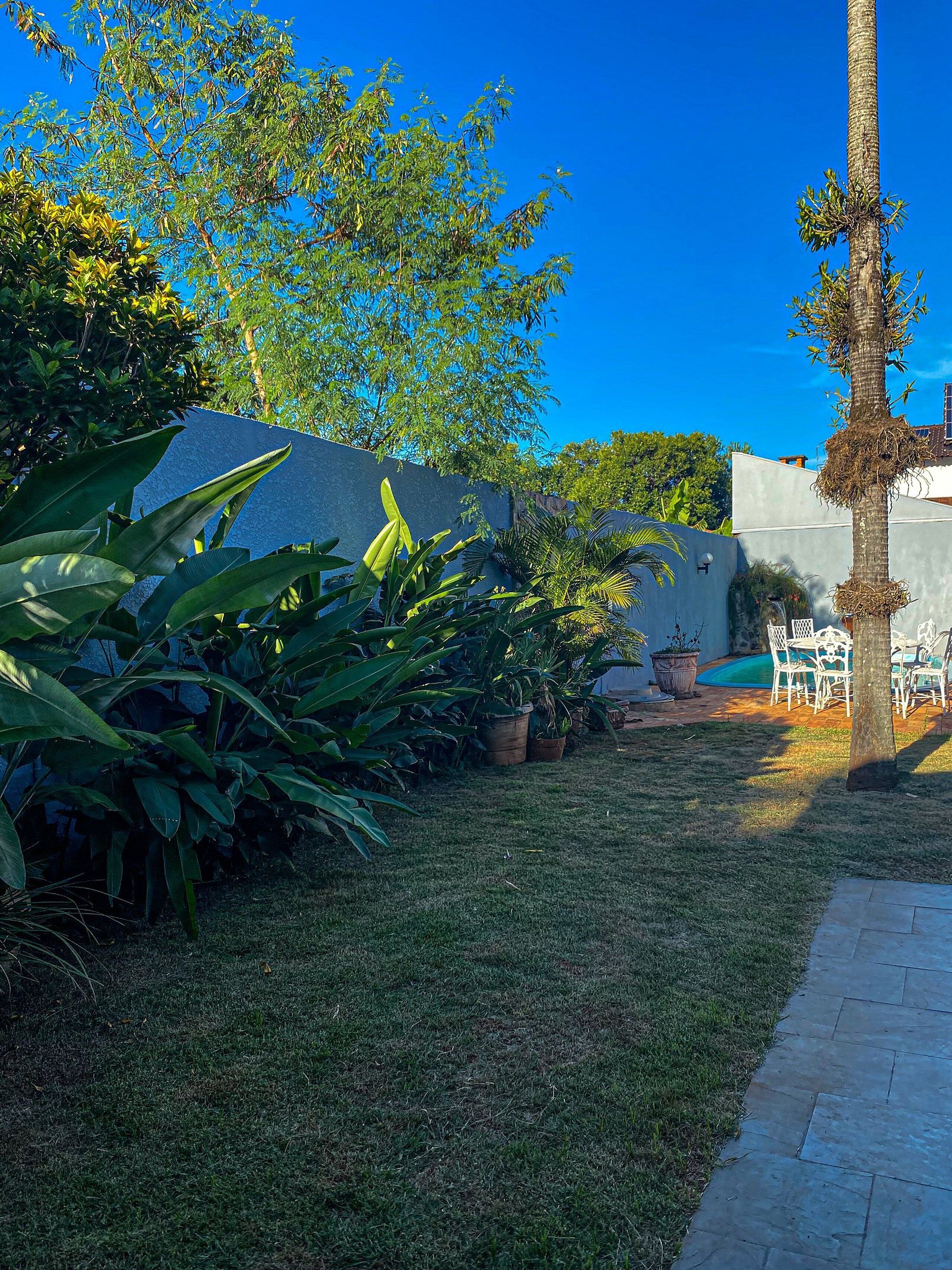 Jardí ben cuidat amb una varietat de plantes i una zona de piscina.