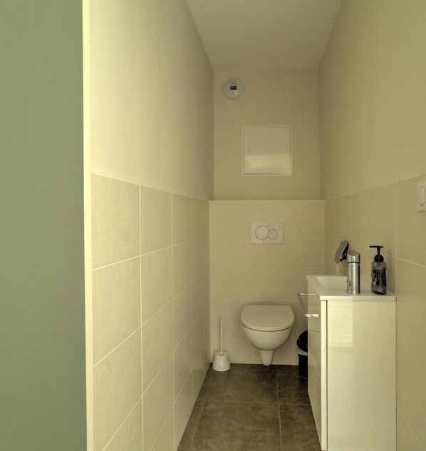 Een kleine, smalle badkamer met een toilet, een wastafel en een toiletborstel.