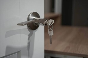A modern door with a key in the lock.