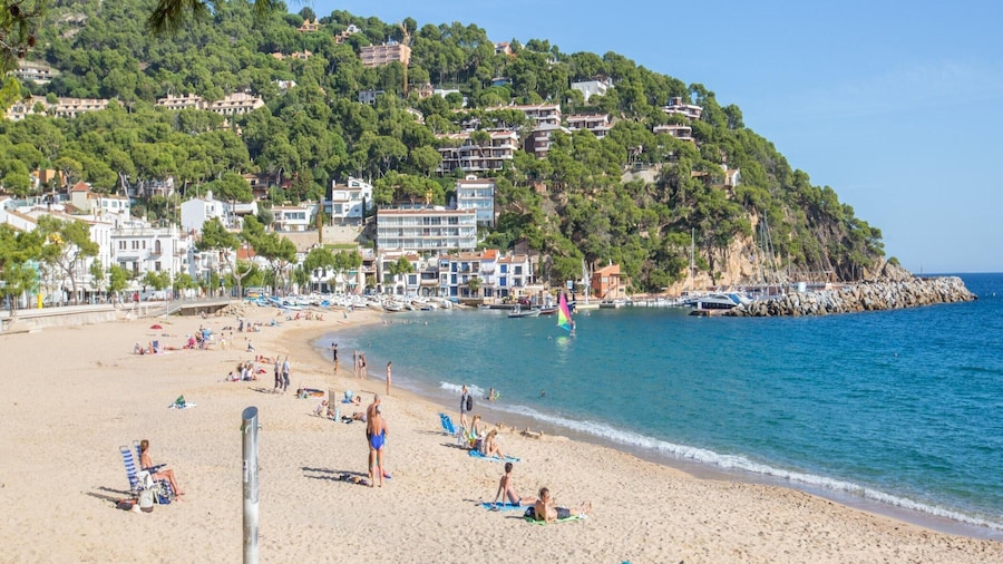 Apartment in Spain Near Sandy Beach