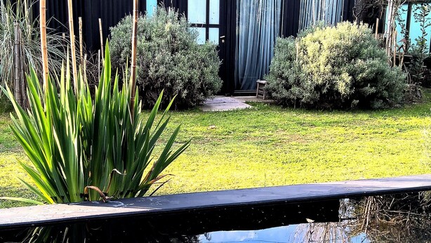 Un bâtiment moderne à l’extérieur sombre, un petit jardin avec différentes espèces de plantes et un élément décoratif aquatique réfléchissant au premier plan.