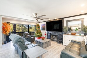 TV connectée, cheminée, chaîne hi-fi