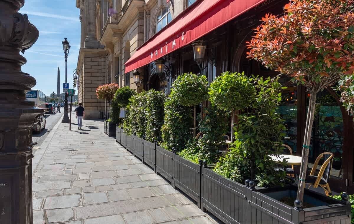 A sidewalk lined with a row of trees and a building with a red awning.