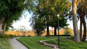 A park pathway with a lamppost, surrounded by trees and grass.