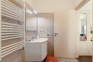 Shower, hair dryer, bidet, towels