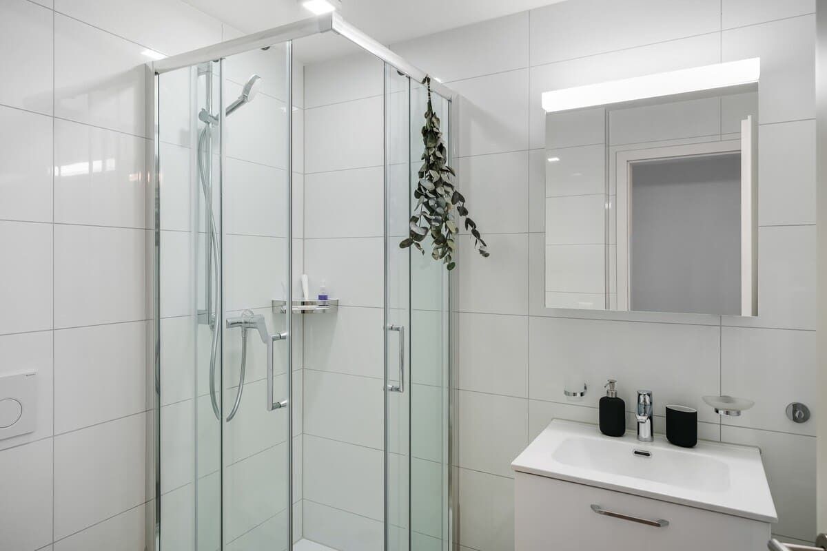 Shower, hair dryer