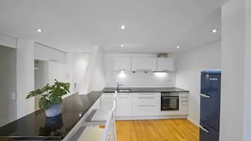 Kühlschrank, Ofen, Herdplatte, Geschirrspüler