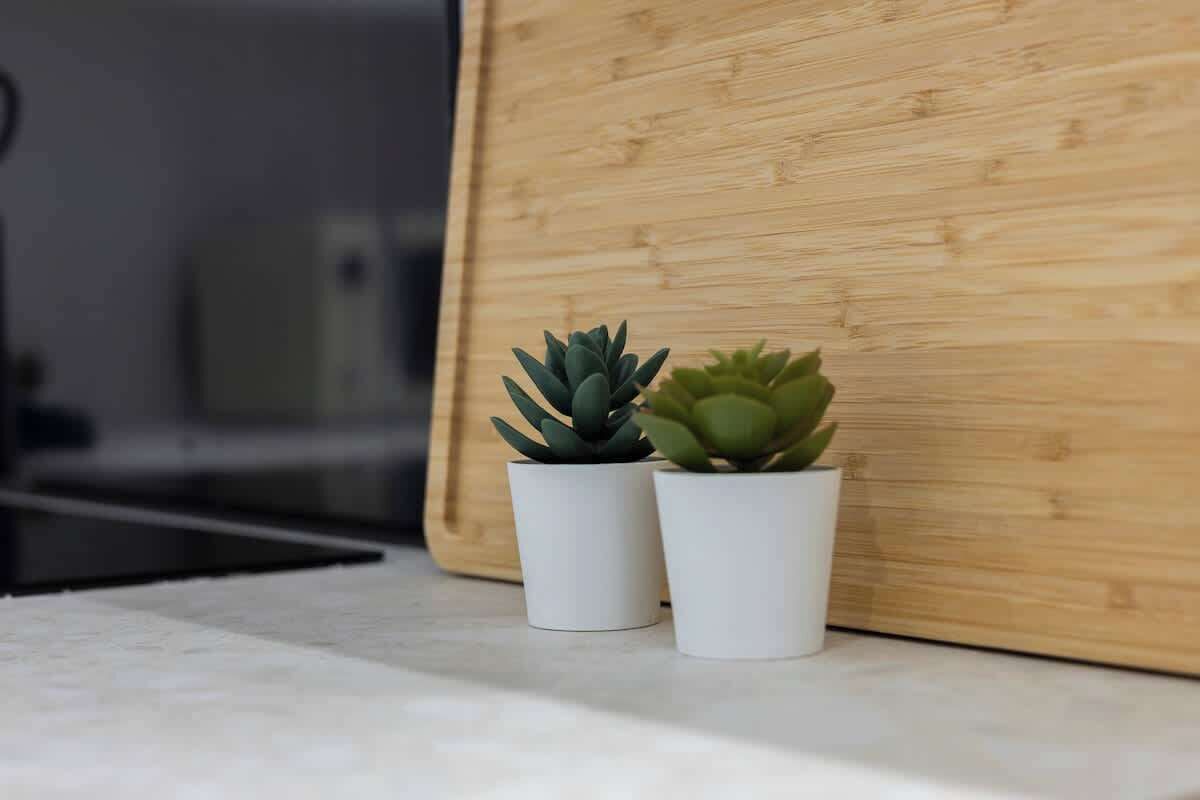 Twee potplanten op een wit oppervlak naast een houten plank.