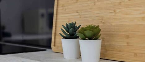 Twee potplanten op een wit oppervlak naast een houten plank.
