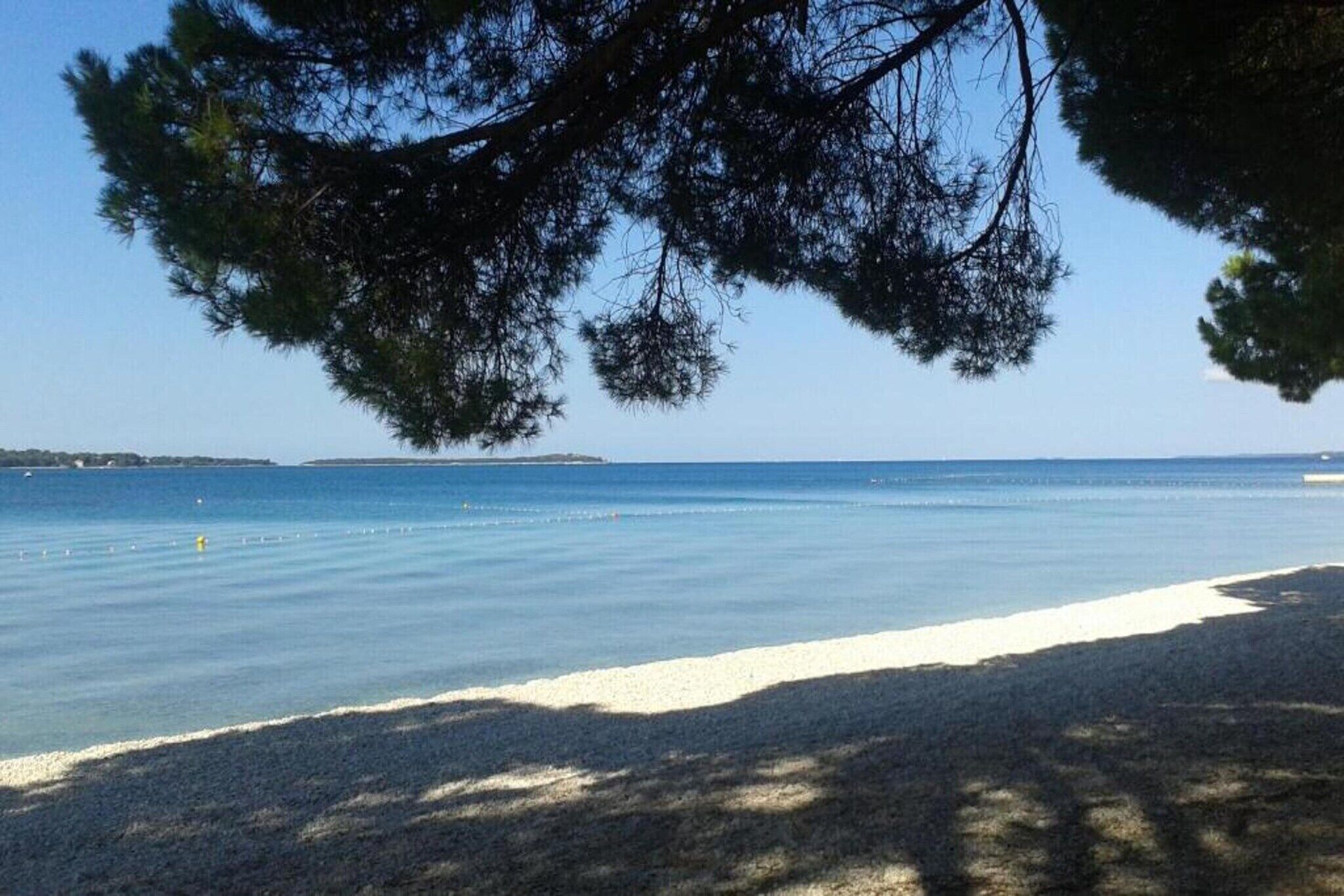 En strand med kristallklart blått vatten, en sandstrand och ett träd i förgrunden.