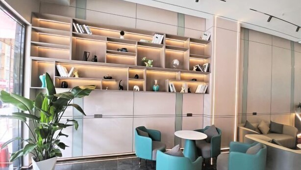 A modern interior with a seating area, a bookshelf, and a potted plant.