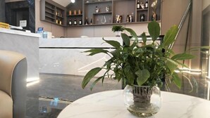 A reception area with a marble reception desk, a potted plant, and shelves with bottles and decorative items.