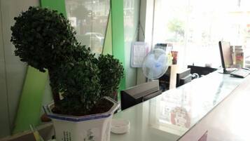 Bancada de recepção com planta em vaso, computador e ventilador.