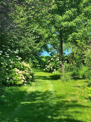 Overnatningsstedets område