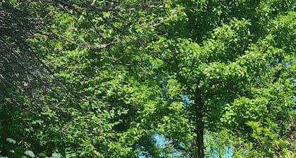 Clementsvale Oasis, a peaceful retreat nestled in the heart of Annapolis County.