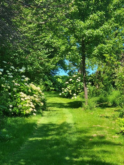 Clementsvale Oasis, a peaceful retreat nestled in the heart of Annapolis County.