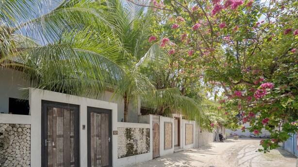 Eine schmale Straße gesäumt von Häusern, Palmen und Bougainvilleen.