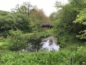 A house with a pond in a lush, green environment.