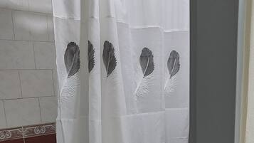 Shower, bidet, towels, soap