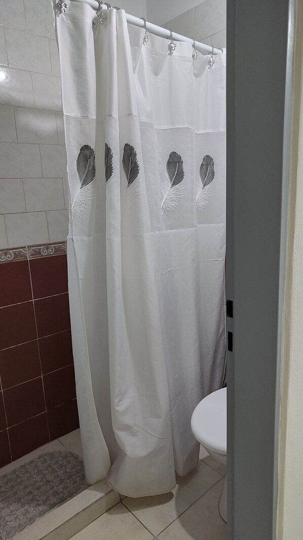 Douche, bidet, serviettes fournies, savon