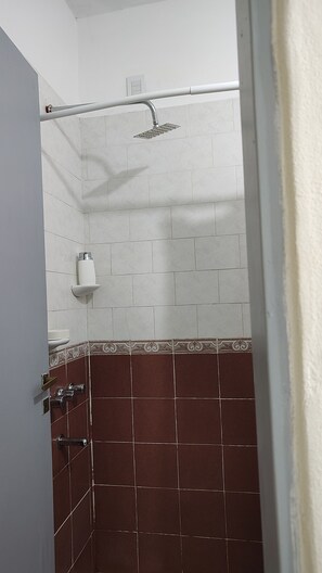 Shower, bidet, towels, soap - Temporary apartment (Corrientes)