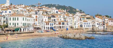 Departamento | Vista desde la propiedad