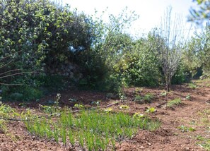 Hus | Udsigt fra overnatningsstedet