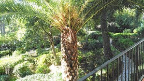 Jardín