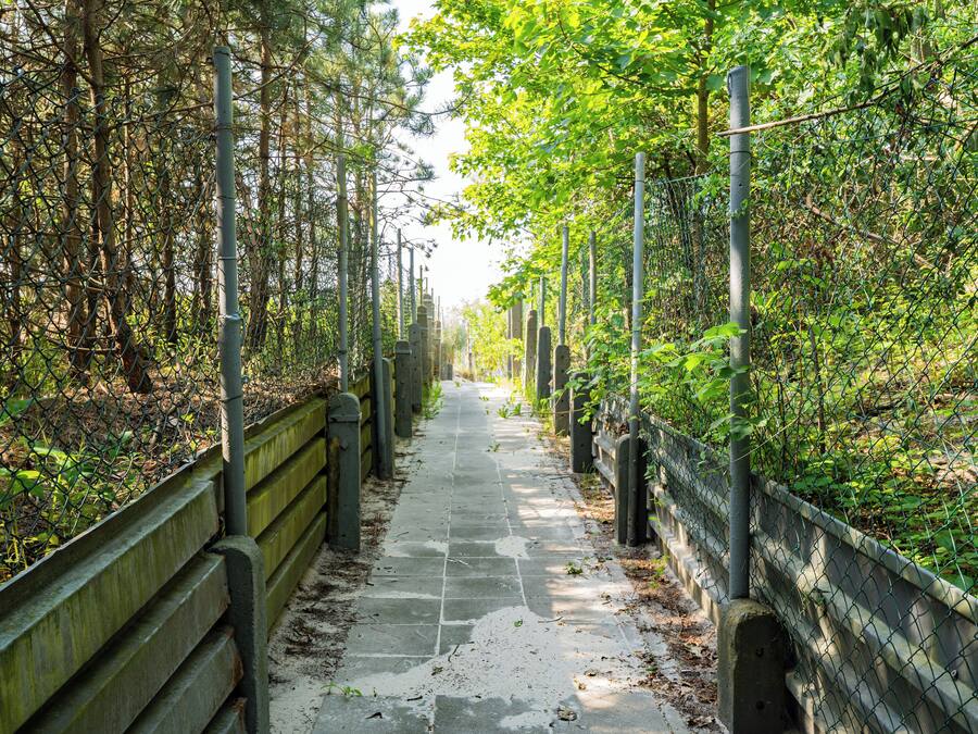 A pathway flanked by chain-link fences and wooden barriers, leading through a wooded area.