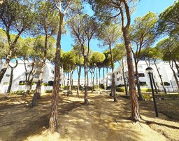 Apartment | Garden