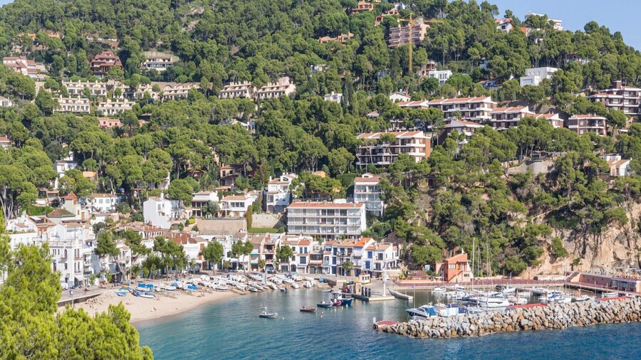 Apartment in Llafranc Near Costa Brava Beach