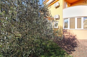 Detalle exterior