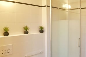 Shower, hair dryer