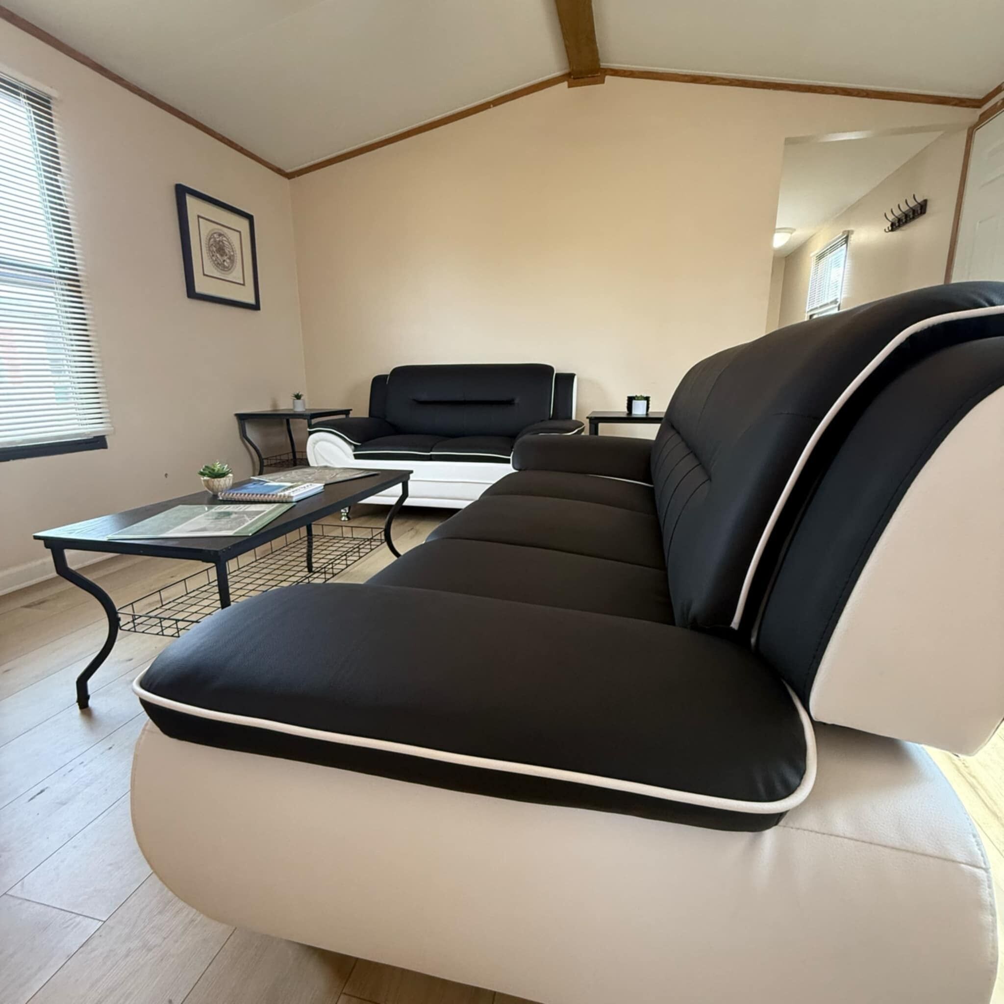 Televisión de pantalla plana, Netflix, películas con cargo