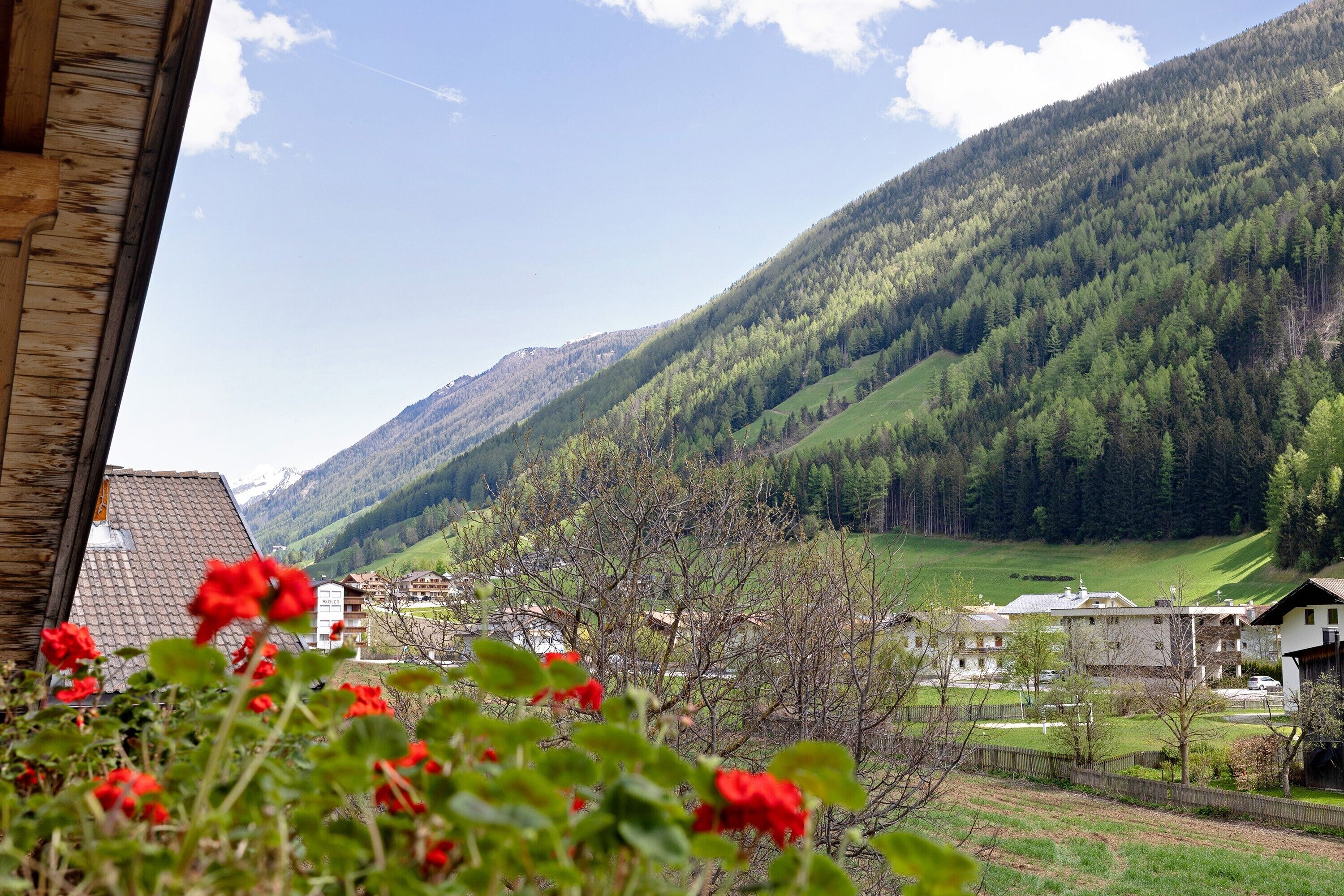 Àrea exterior de l'allotjament