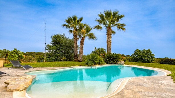 A swimming pool with a curved edge, surrounded by a stone deck, palm trees, and a clear sky.
