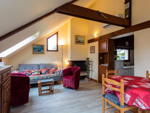 Télévision, cheminée, lecteur de DVD