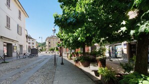 A cobblestone street lined with buildings, a bicycle, and a tree with dense foliage.