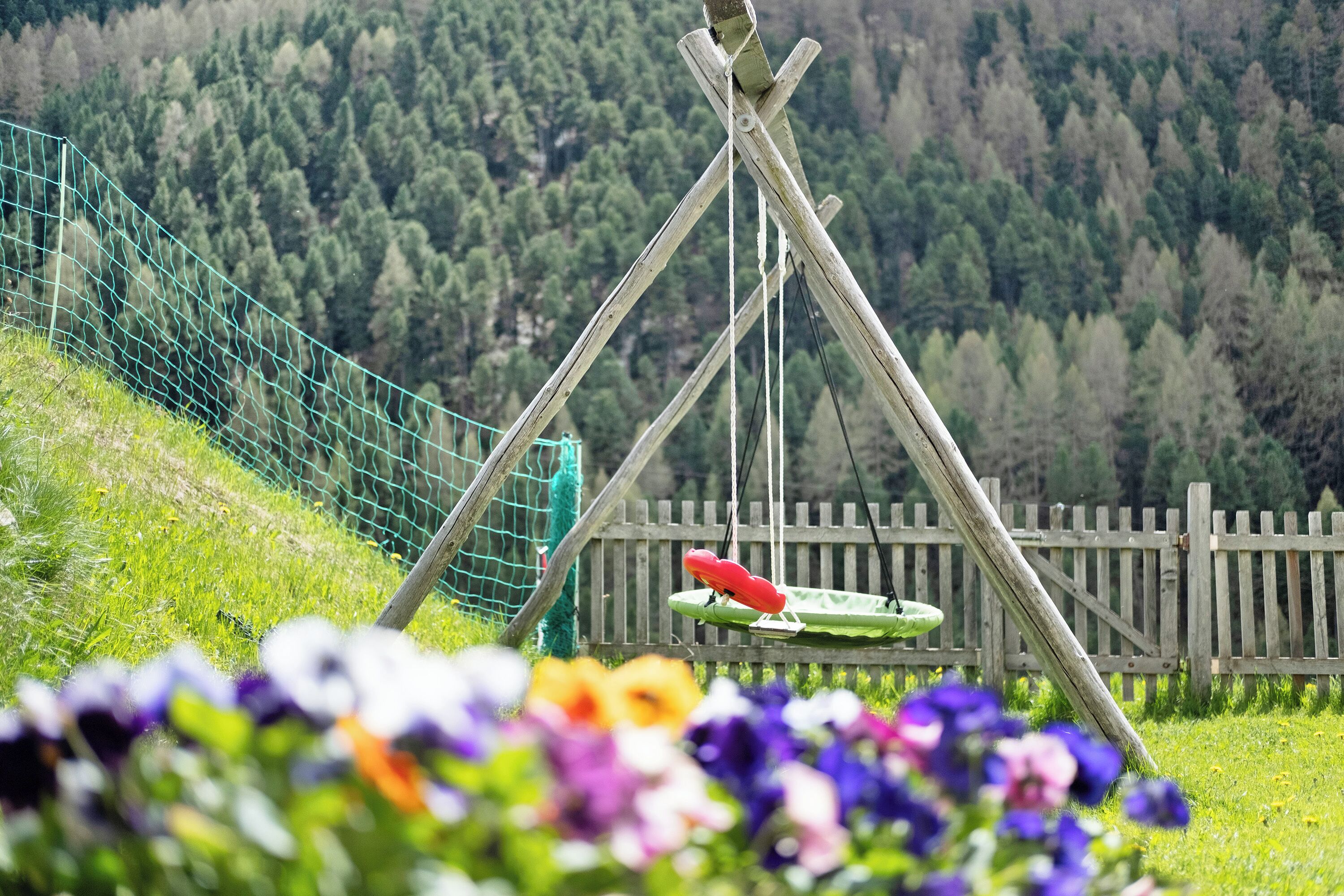 Área da propriedade