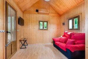 Televisión y chimenea 