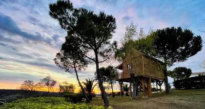 Holiday Home 'Señora De Las Angustias 1' with Mountain View, Shared Pool and Air Conditioning