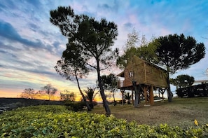 Una casa en el árbol de madera con balcón, rodeada de árboles y una vista al atardecer.