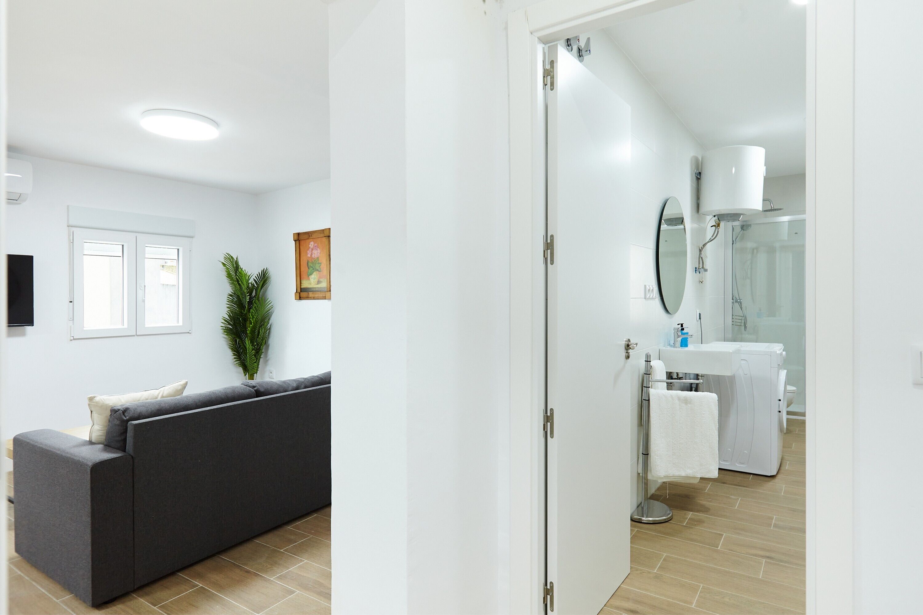 Un salon moderne avec un canapé et une plante en pot, une porte blanche donnant accès à une salle de bain équipée d’une douche, de toilettes et d’un lavabo.