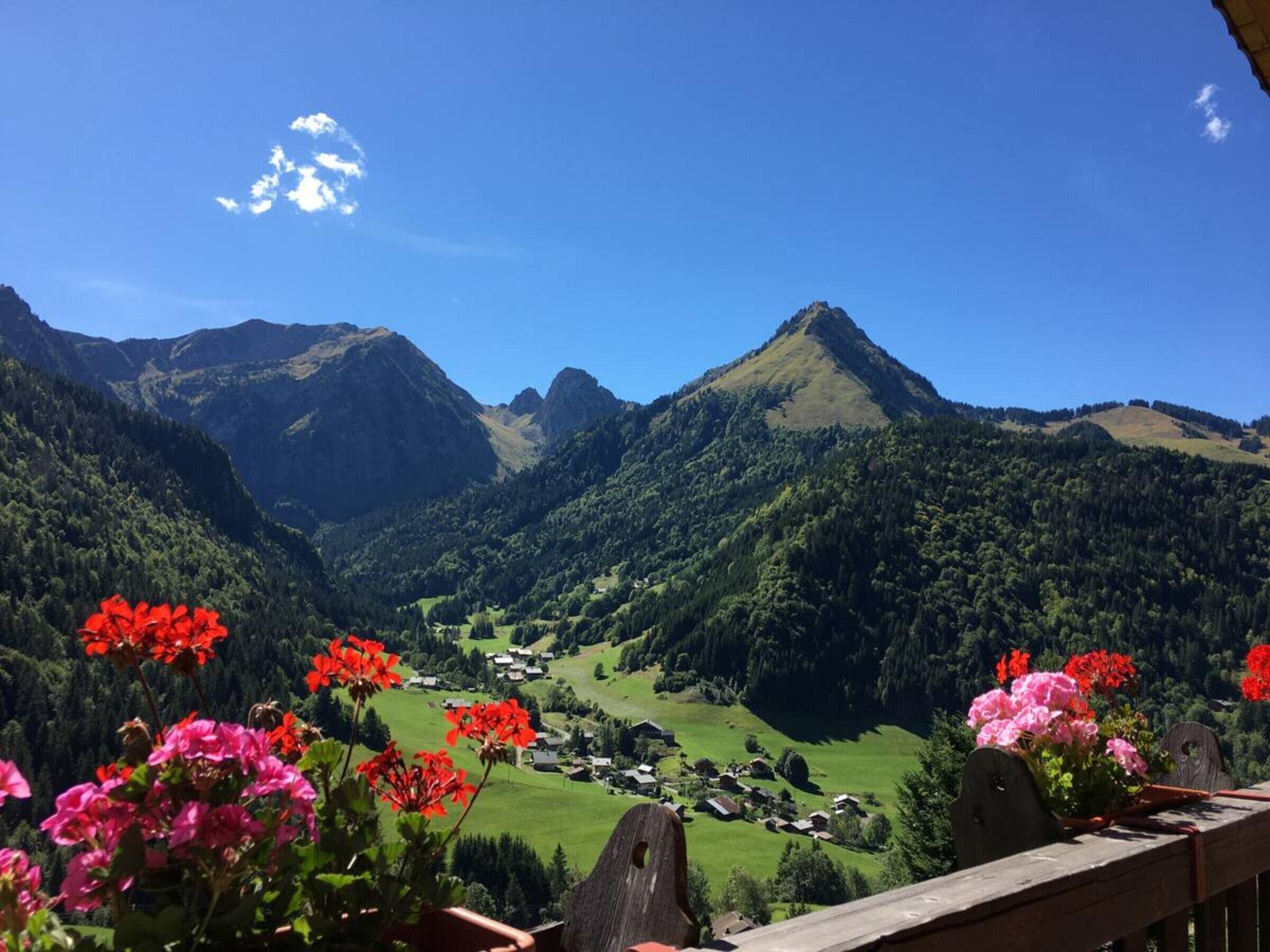 A mountain landscape with a village, a wooden fence, and red flowers in the foreground.