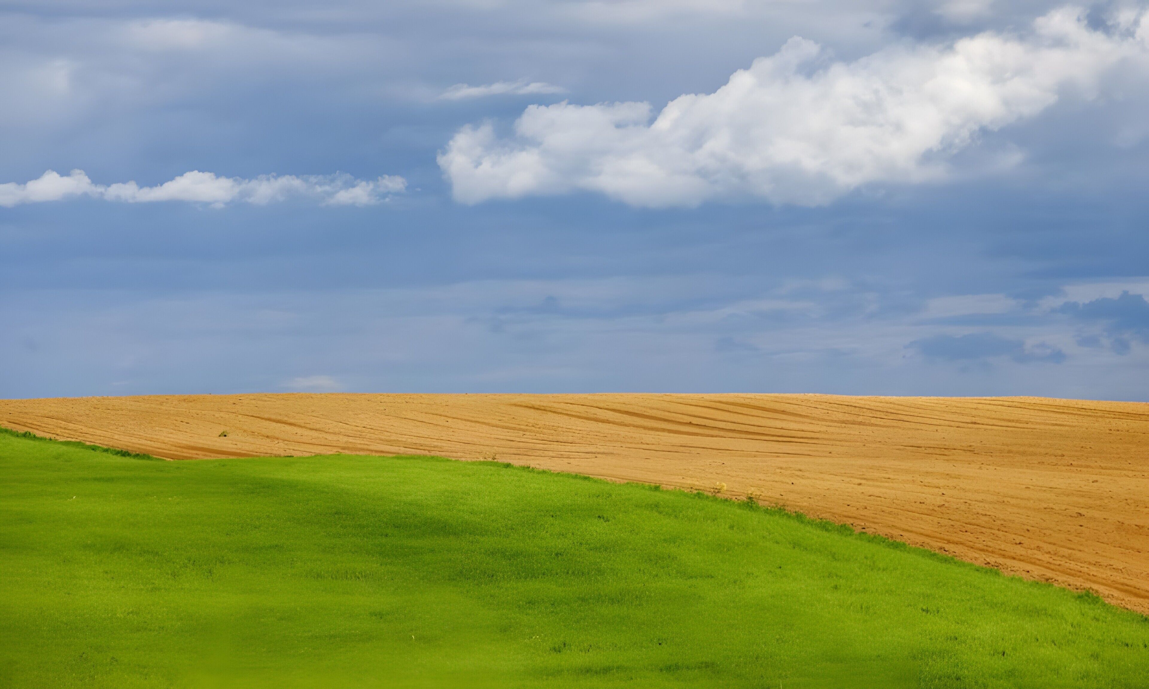 A vast field with a clear sky.