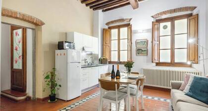 Apartment 'Nel Cuore Di Pisa' with Wi-Fi and Air Conditioning