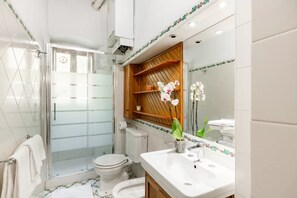 Shower, hair dryer, towels